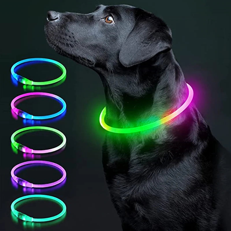 USB Rechargeable Luminous Dog Collar for Night Safety - Smarsty