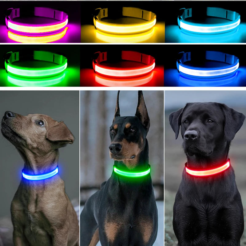 USB Rechargeable Luminous Dog Collar for Night Safety - Smarsty