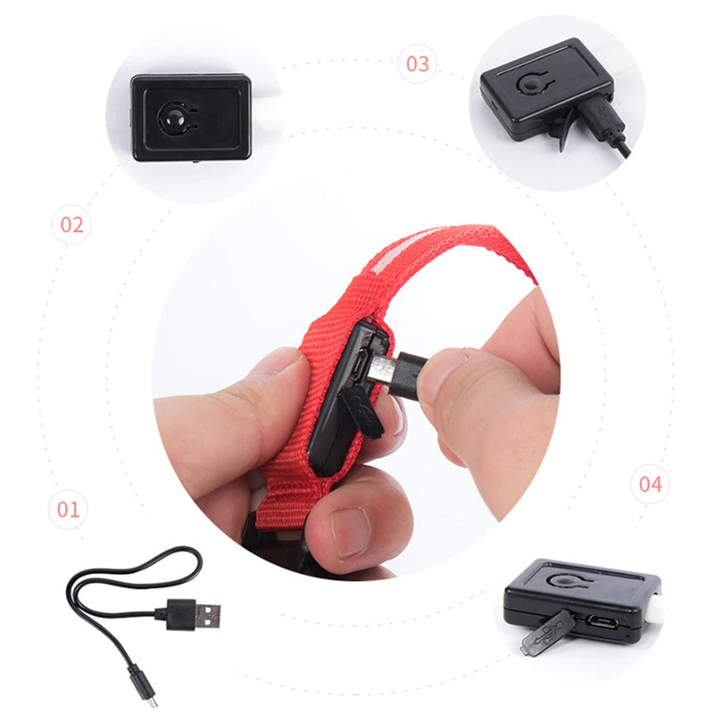 USB Rechargeable Luminous Dog Collar for Night Safety - Smarsty