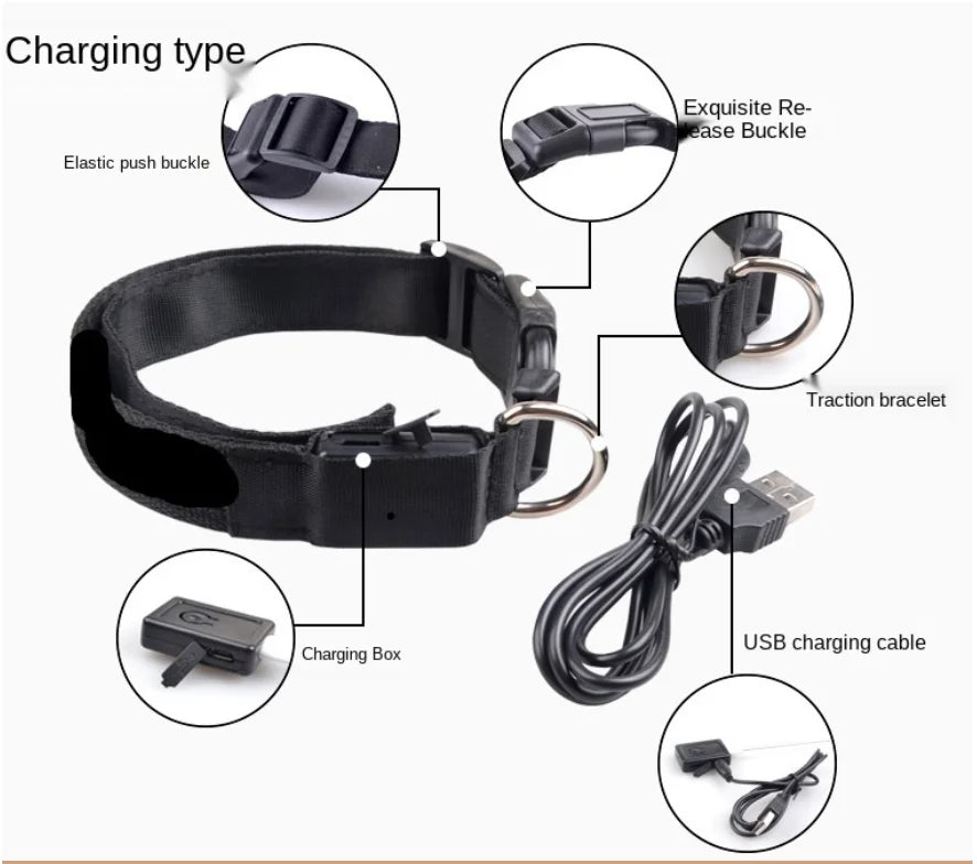 USB Rechargeable Luminous Dog Collar for Night Safety - Smarsty