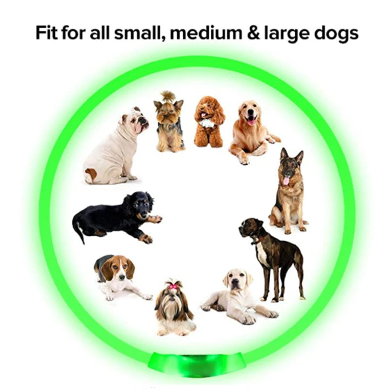USB Rechargeable Luminous Dog Collar for Night Safety - Smarsty