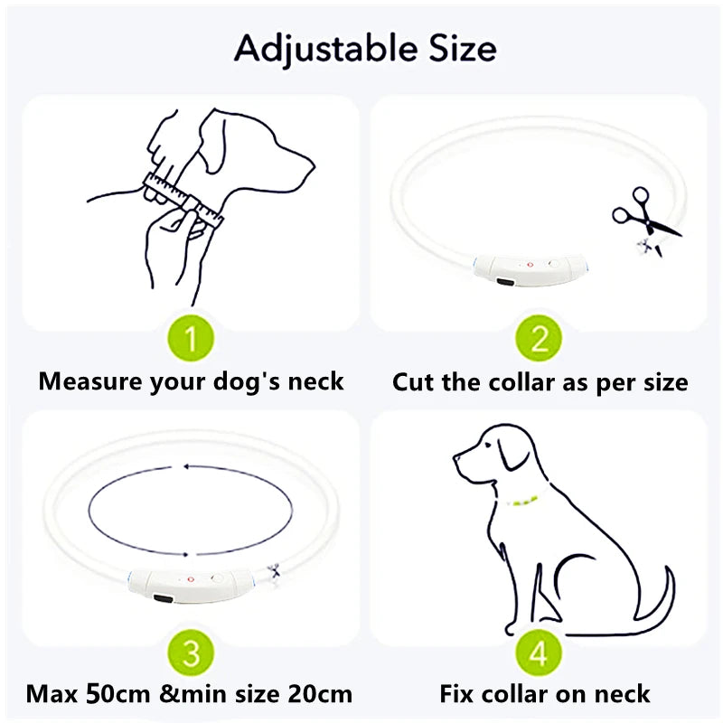 USB Rechargeable Luminous Dog Collar for Night Safety - Smarsty