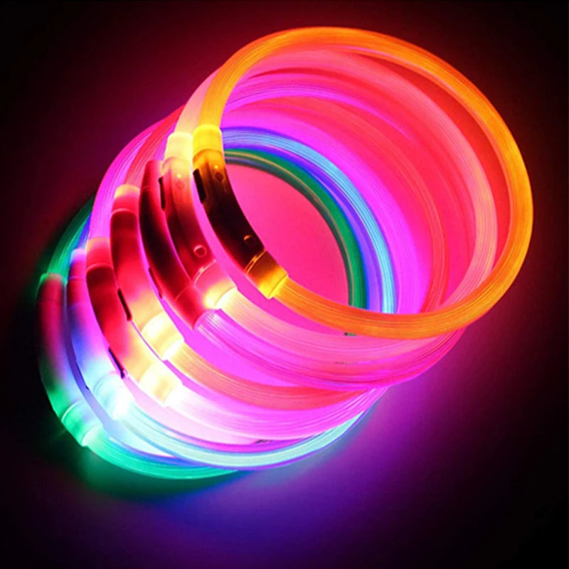 USB Rechargeable Luminous Dog Collar for Night Safety - Smarsty