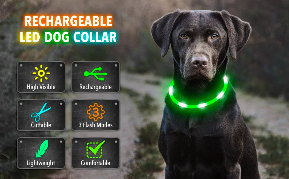 USB Rechargeable Luminous Dog Collar for Night Safety - Smarsty