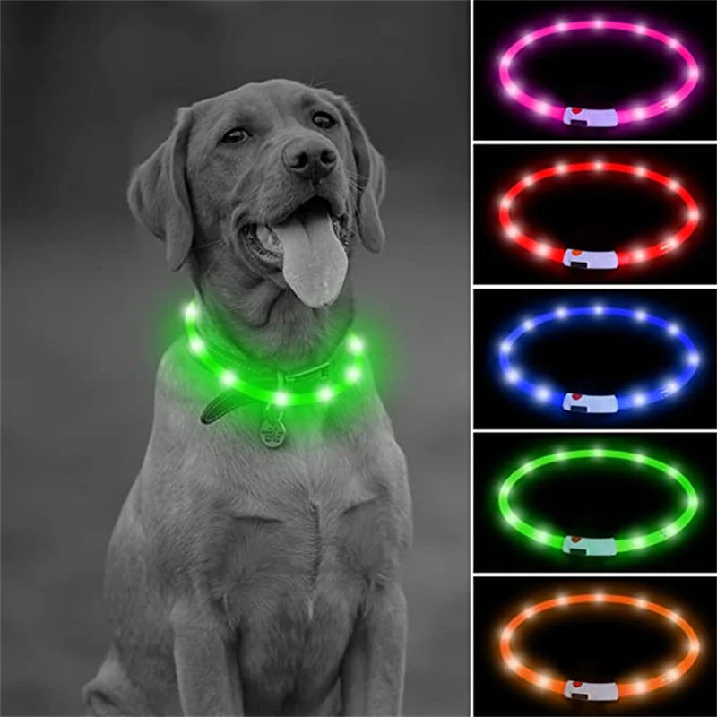 USB Rechargeable Luminous Dog Collar for Night Safety - Smarsty
