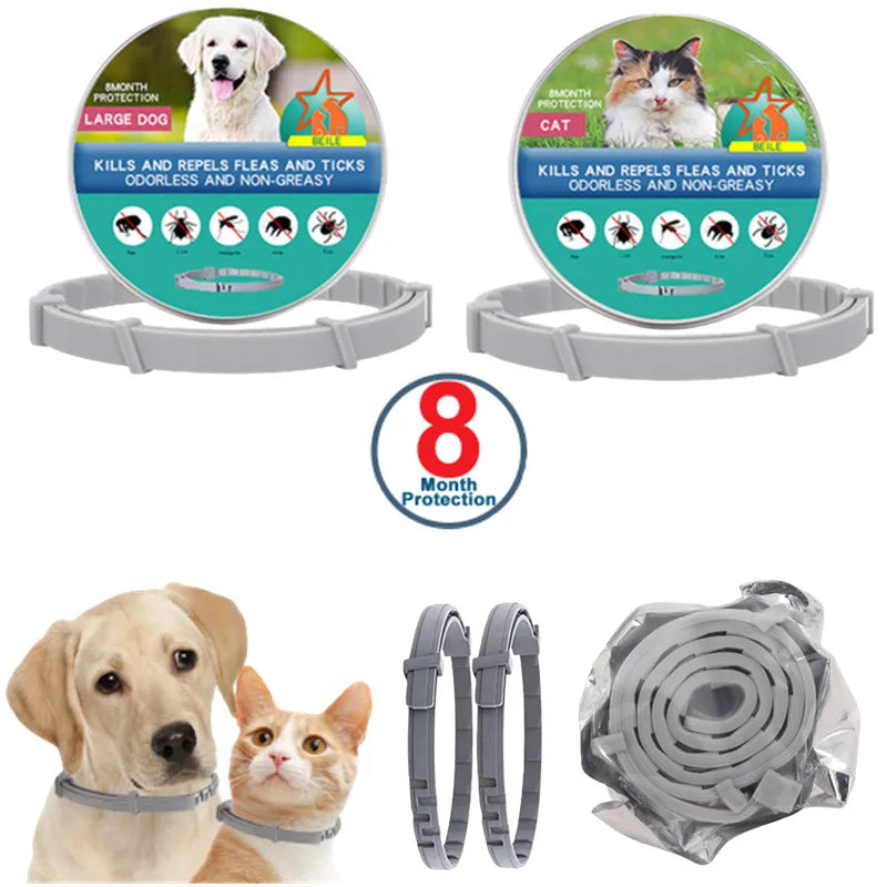 USB Rechargeable Luminous Dog Collar for Night Safety - Smarsty