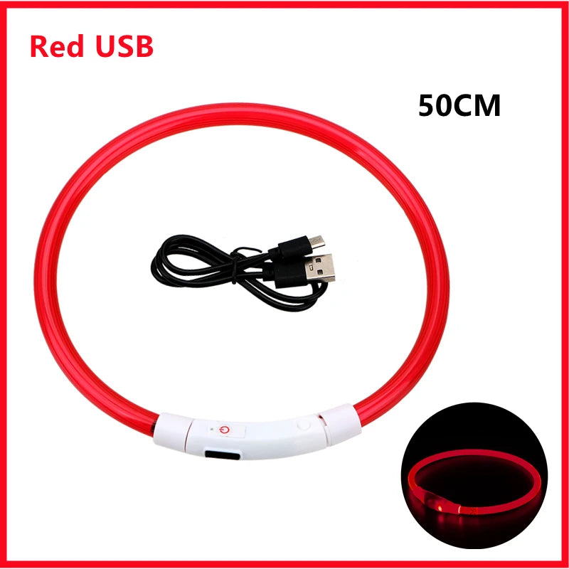 USB Rechargeable Luminous Dog Collar for Night Safety - Smarsty
