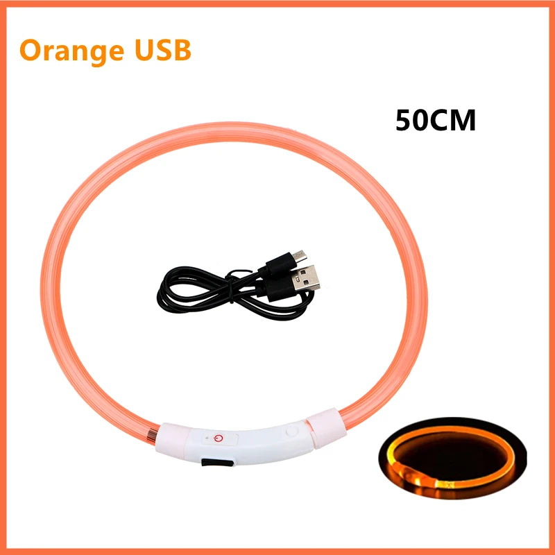 USB Rechargeable Luminous Dog Collar for Night Safety - Smarsty