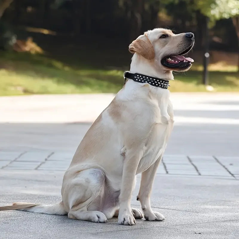 Spiked Leather Dog Collar and Leash Set for Outdoor Use - Smarsty