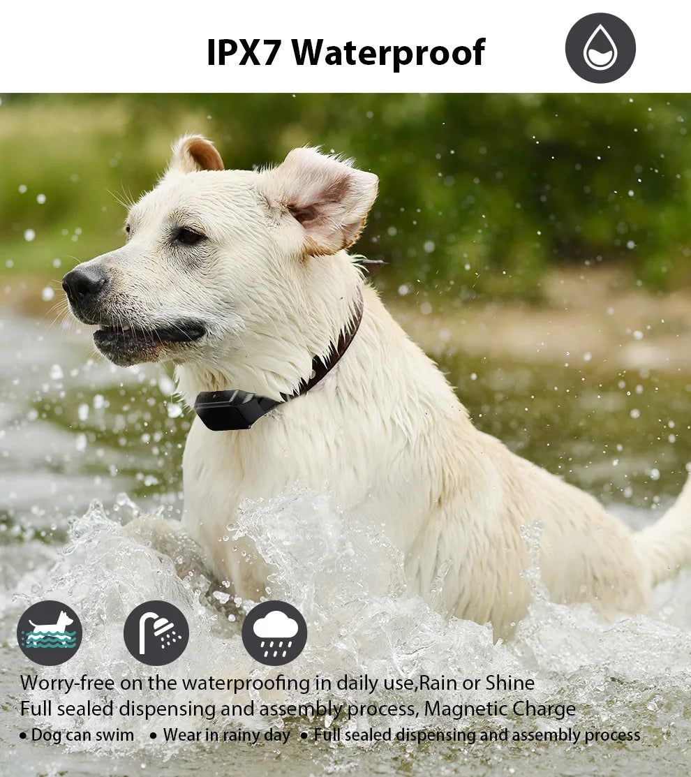 Dog Training Collar With 1000ft Range And Three Modes - Smarsty