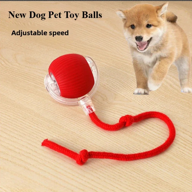 Rechargeable Smart Interactive Pet Ball Toy for Cats - Smarsty