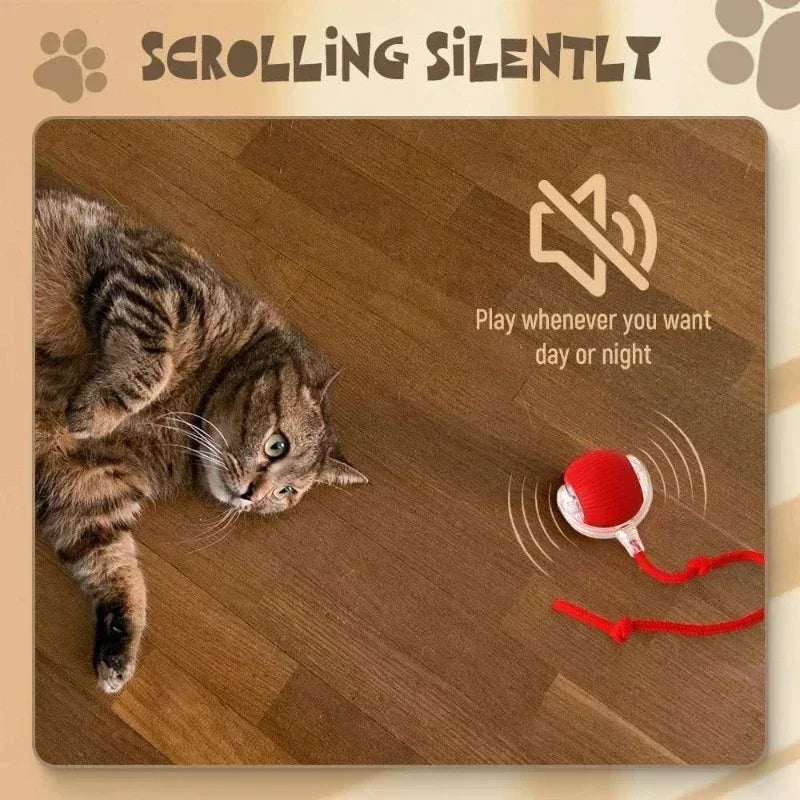 Rechargeable Smart Interactive Pet Ball Toy for Cats - Smarsty