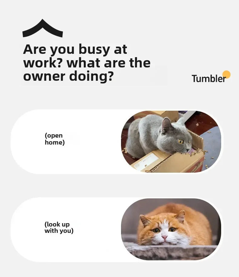 Rechargeable Smart Interactive Pet Ball Toy for Cats - Smarsty