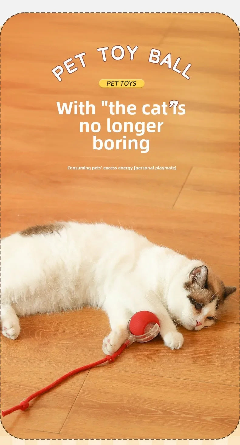 Rechargeable Smart Interactive Pet Ball Toy for Cats - Smarsty