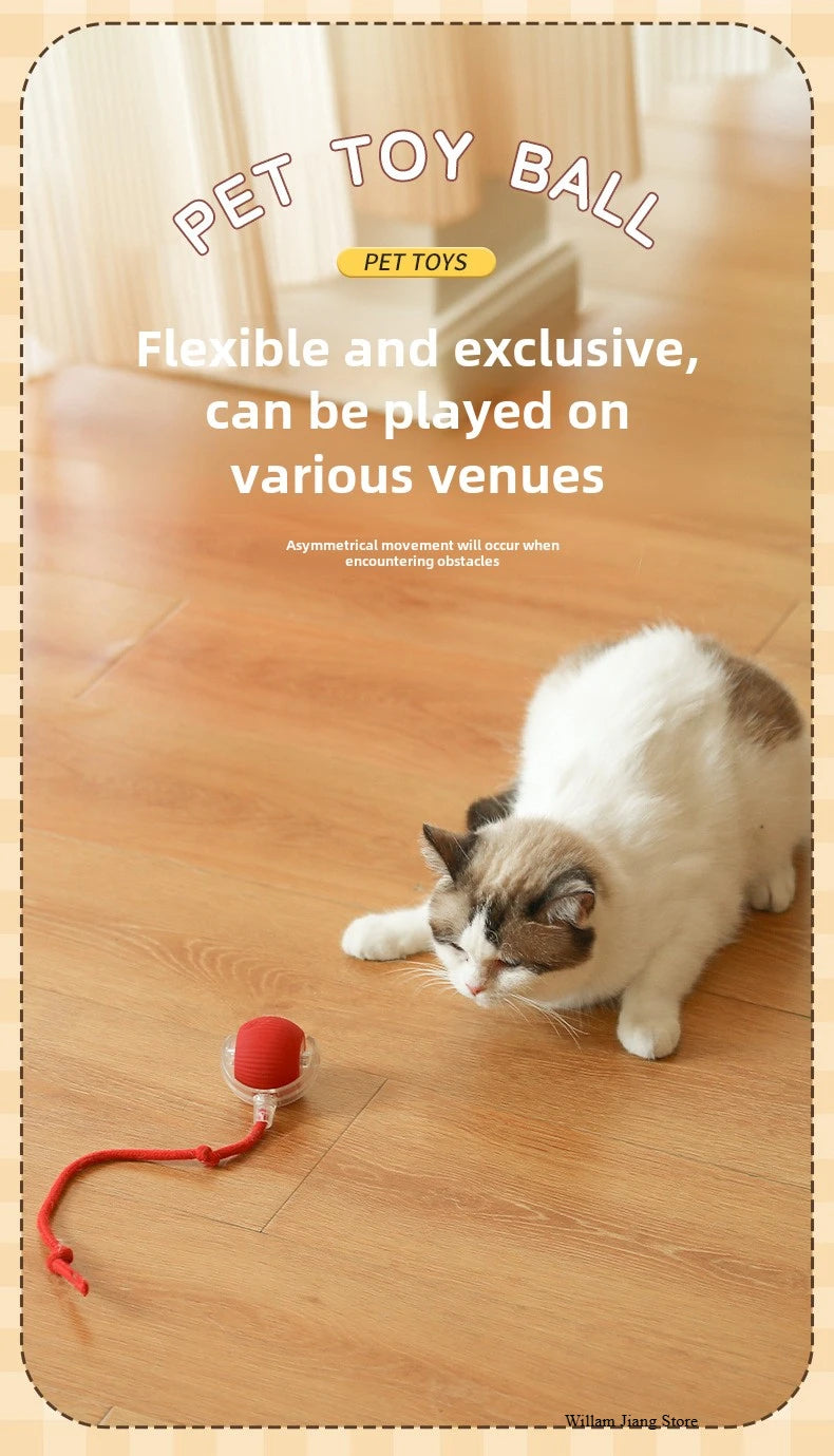 Rechargeable Smart Interactive Pet Ball Toy for Cats - Smarsty