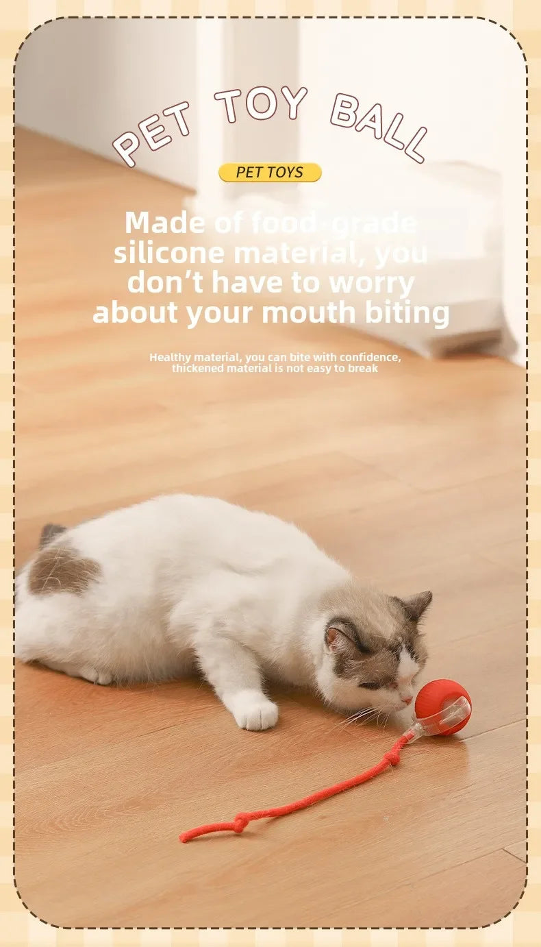 Rechargeable Smart Interactive Pet Ball Toy for Cats - Smarsty