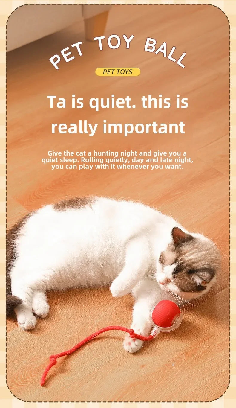 Rechargeable Smart Interactive Pet Ball Toy for Cats - Smarsty
