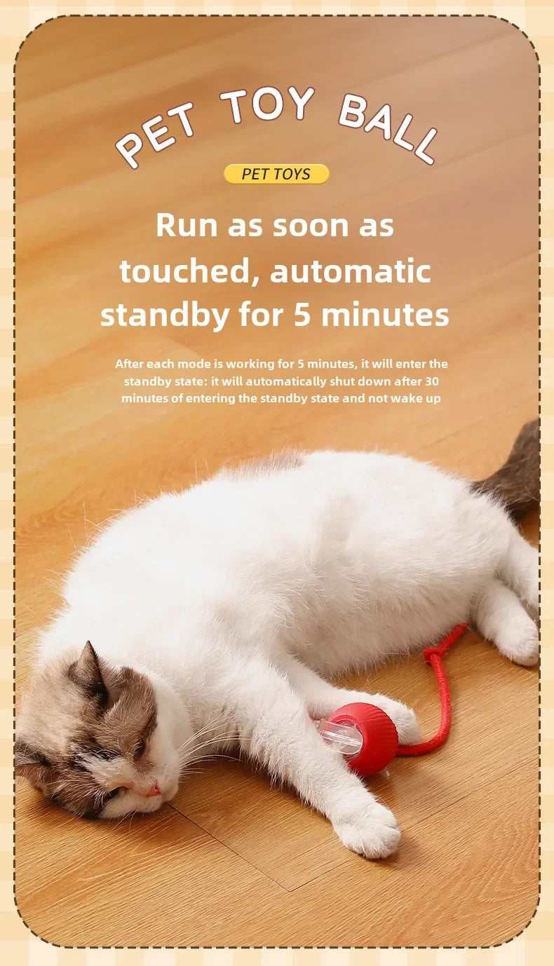 Rechargeable Smart Interactive Pet Ball Toy for Cats - Smarsty