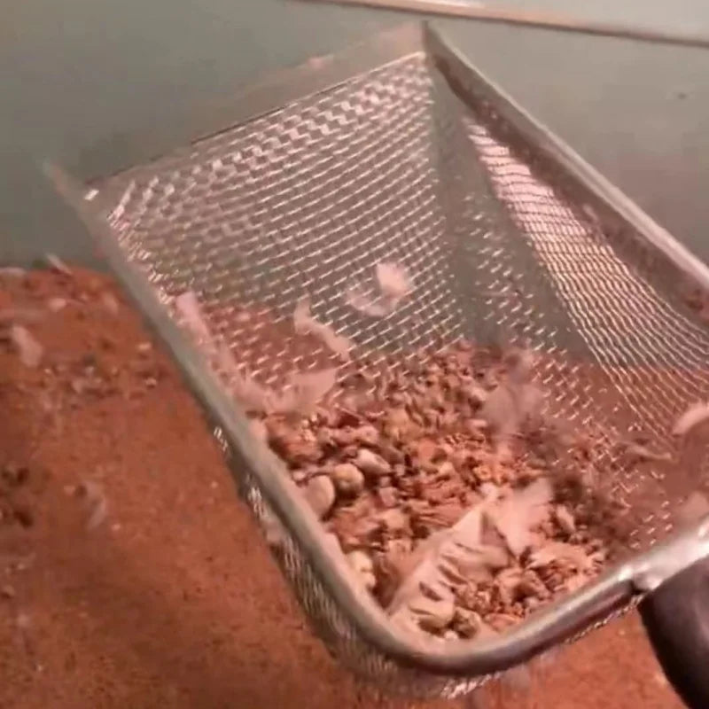 Stainless Steel Cat Litter Scoop with Plastic Handle - Smarsty