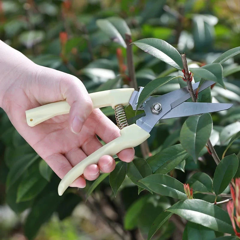 Stainless Steel Pruning Scissors for Effortless Garden Cutting - Smarsty