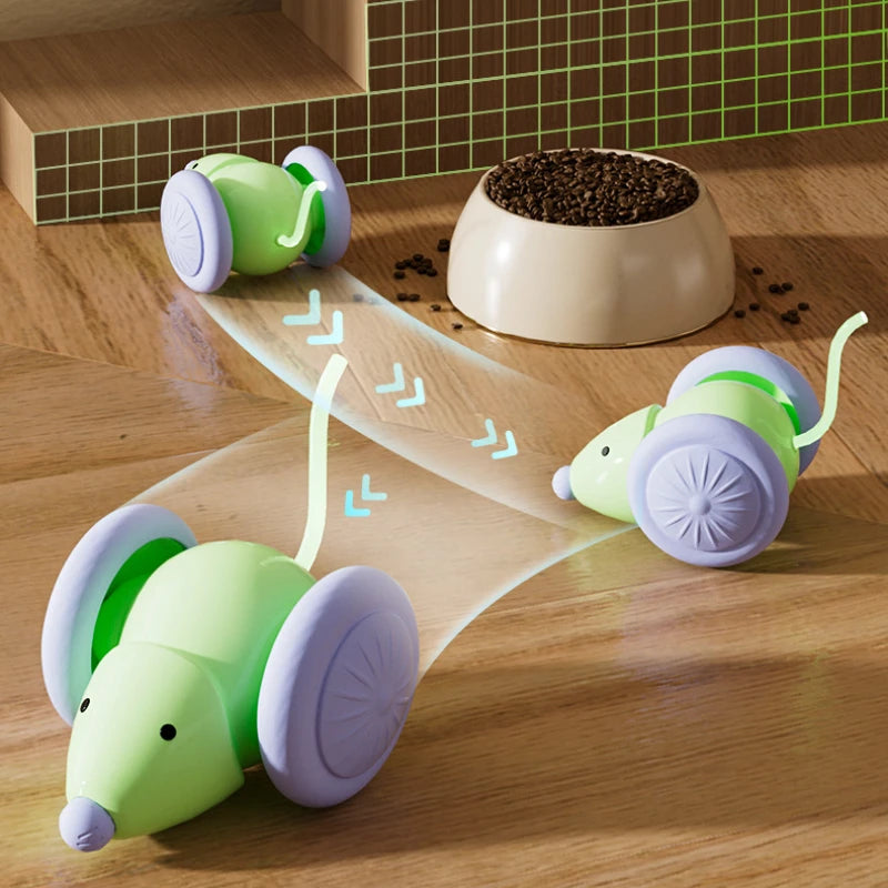 Interactive Electric Mouse Car Toy for Cats - Smarsty