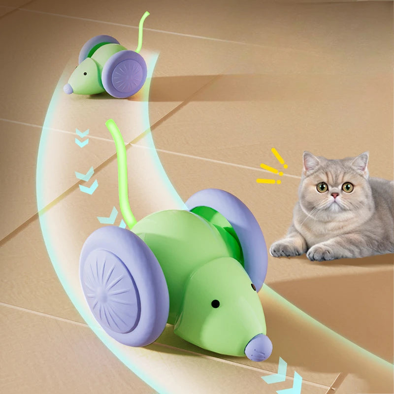 Interactive Electric Mouse Car Toy for Cats - Smarsty