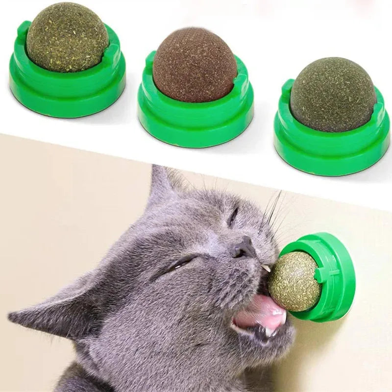 Natural Catnip Ball Toy for Healthy Digestion - Smarsty