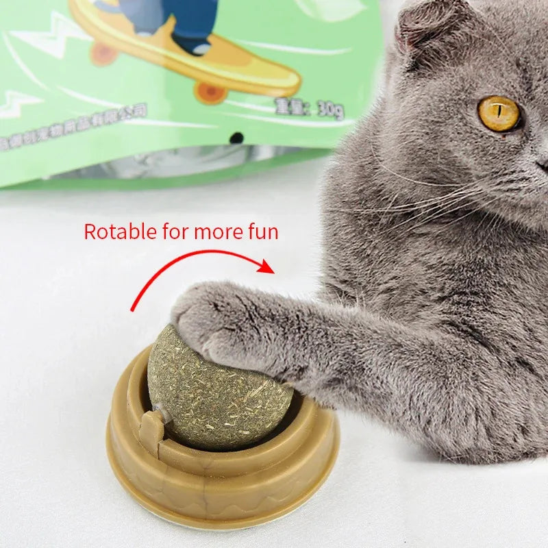 Natural Catnip Ball Toy for Healthy Digestion - Smarsty