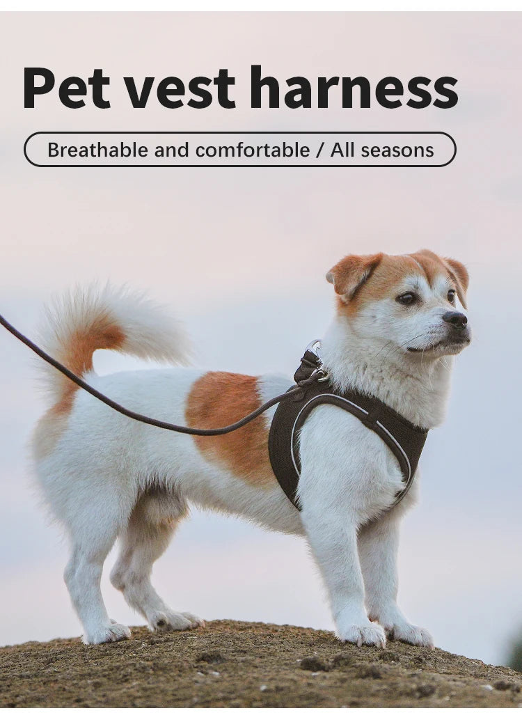 Adjustable Reflective Dog Harness Leash Set for Small Dogs - Smarsty