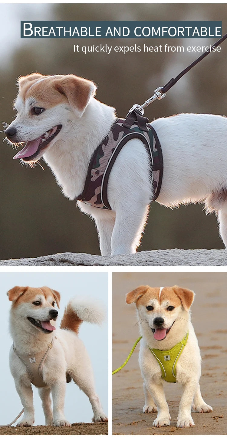 Adjustable Reflective Dog Harness Leash Set for Small Dogs - Smarsty