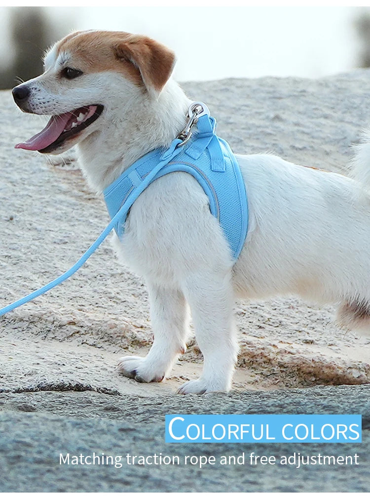 Adjustable Reflective Dog Harness Leash Set for Small Dogs - Smarsty