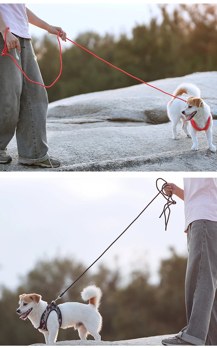 Adjustable Reflective Dog Harness Leash Set for Small Dogs - Smarsty