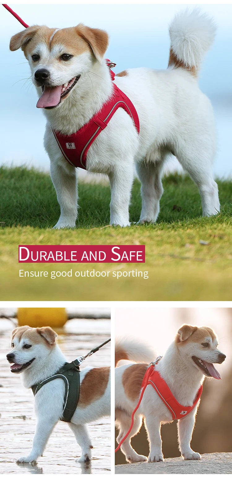 Adjustable Reflective Dog Harness Leash Set for Small Dogs - Smarsty