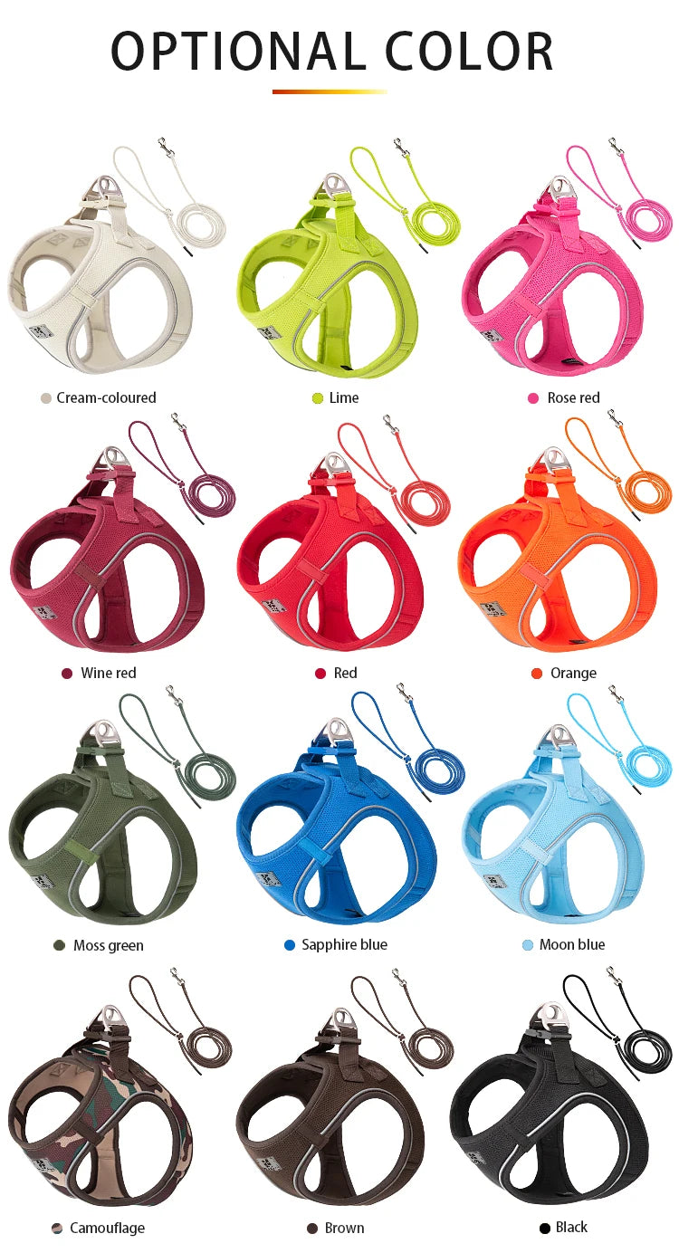 Adjustable Reflective Dog Harness Leash Set for Small Dogs - Smarsty
