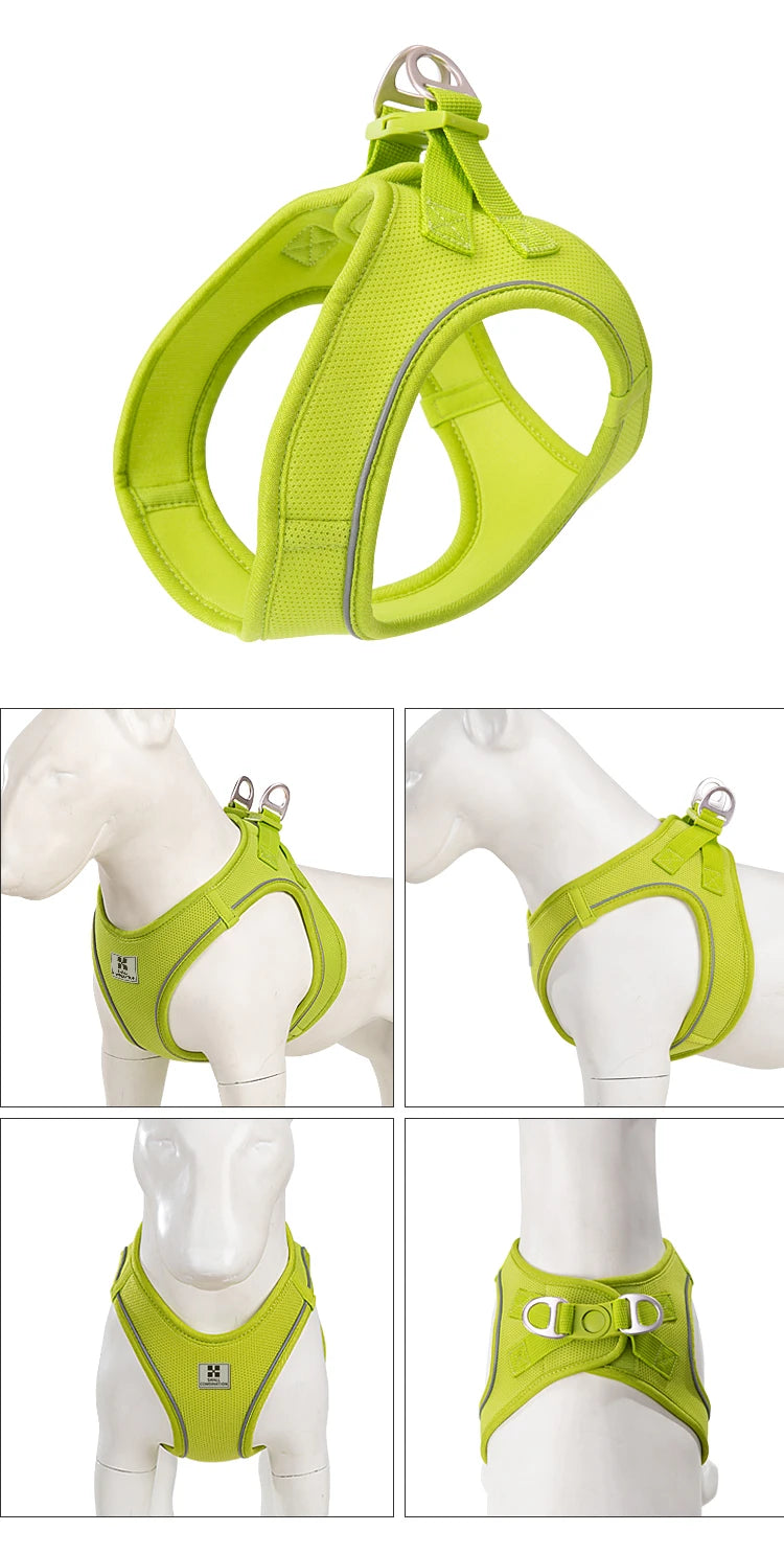 Adjustable Reflective Dog Harness Leash Set for Small Dogs - Smarsty