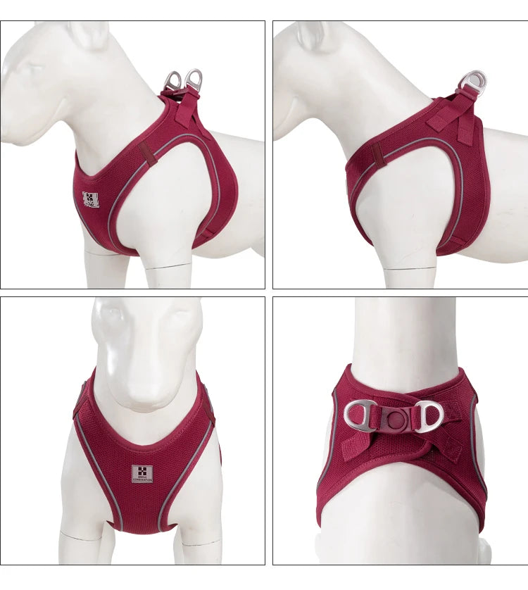 Adjustable Reflective Dog Harness Leash Set for Small Dogs - Smarsty