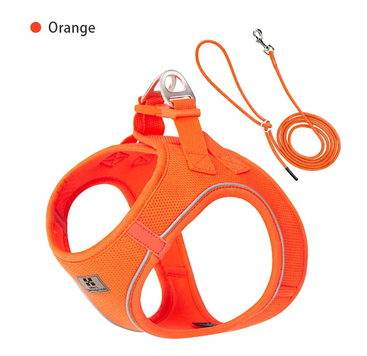 Adjustable Reflective Dog Harness Leash Set for Small Dogs - Smarsty