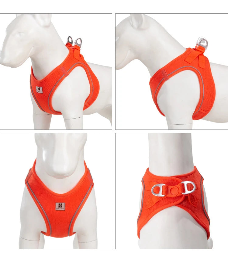 Adjustable Reflective Dog Harness Leash Set for Small Dogs - Smarsty