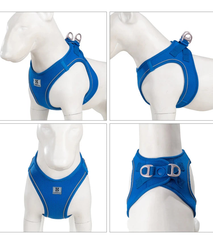 Adjustable Reflective Dog Harness Leash Set for Small Dogs - Smarsty