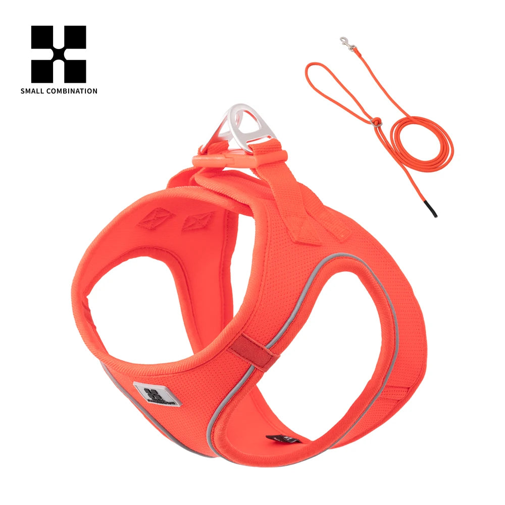 Adjustable Reflective Dog Harness Leash Set for Small Dogs - Smarsty