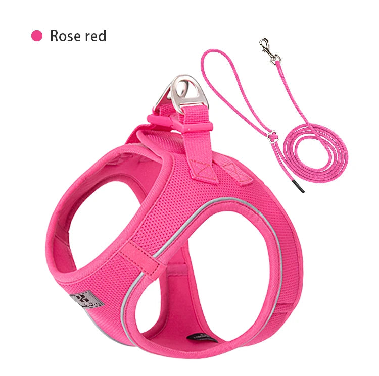 Adjustable Reflective Dog Harness Leash Set for Small Dogs - Smarsty