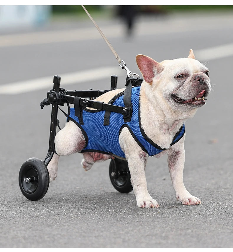 Adjustable Dog Wheelchair Cart for Enhanced Mobility - Smarsty