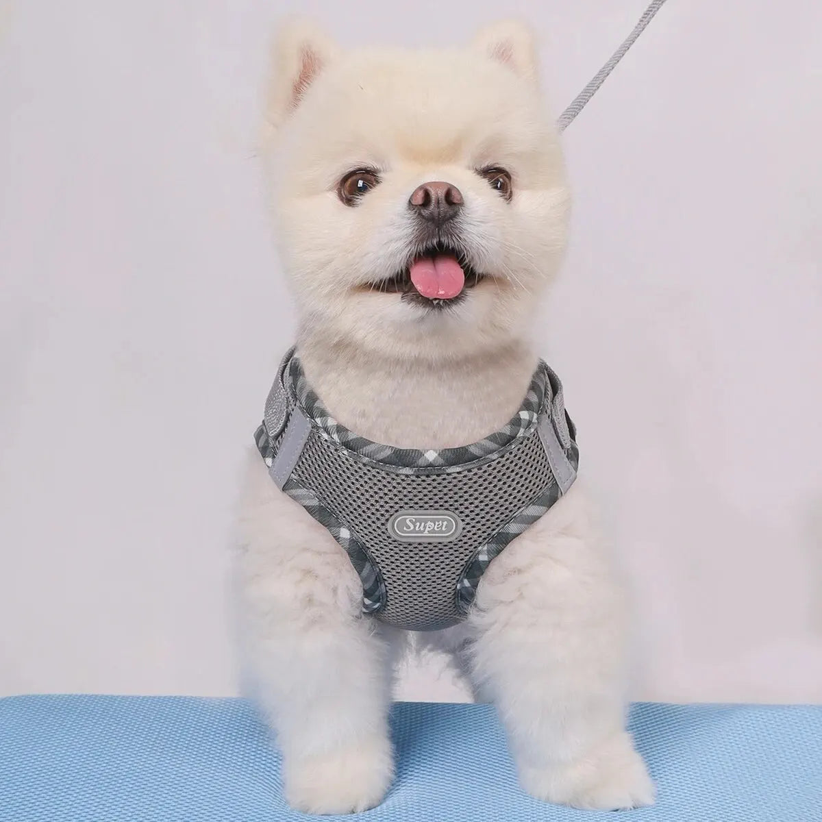Supet Adjustable Anti-Pull Dog Harness for Easy Control - Smarsty