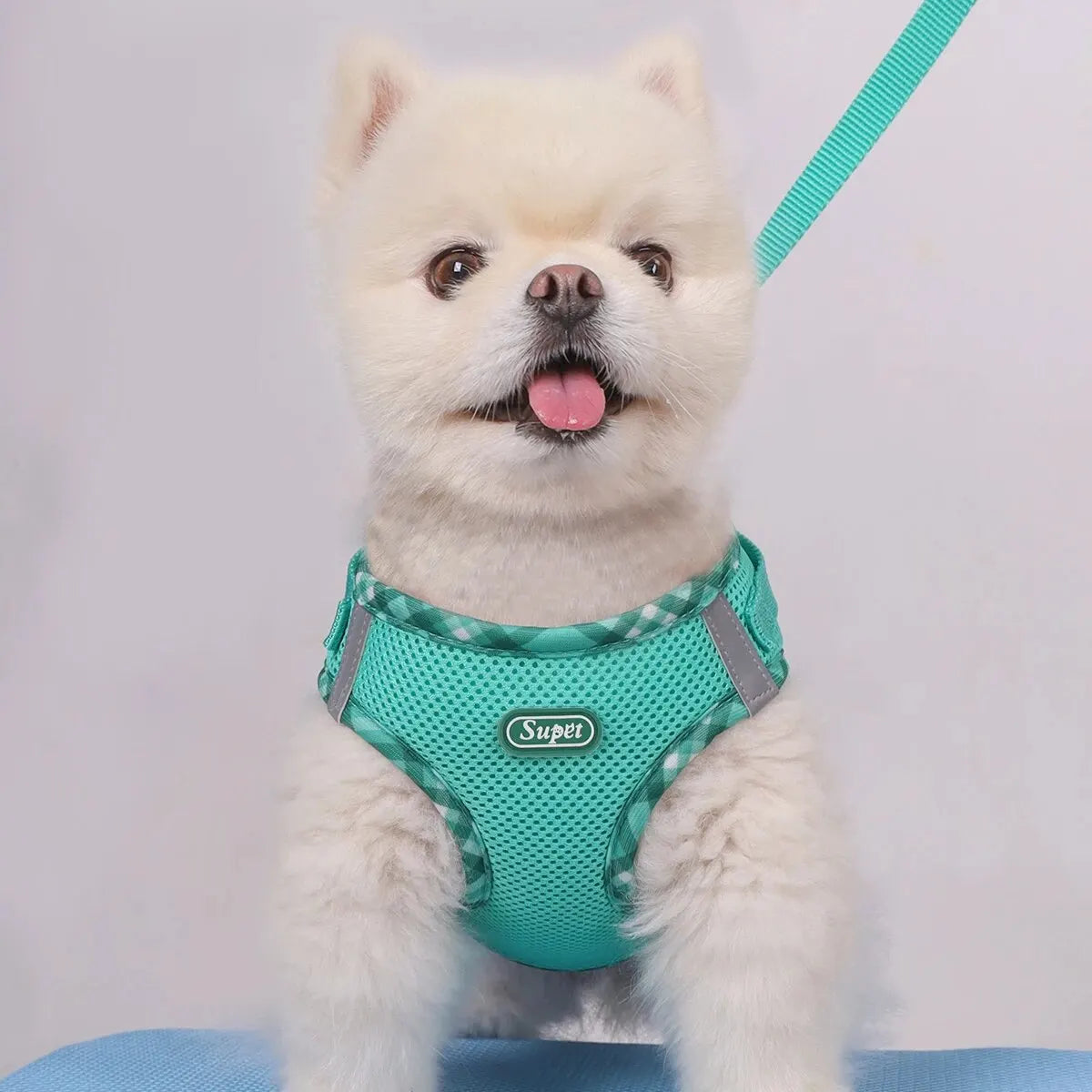 Supet Adjustable Anti-Pull Dog Harness for Easy Control - Smarsty