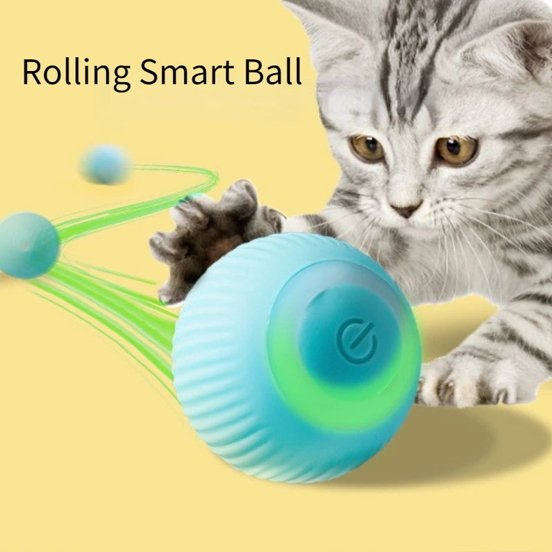 Smart Cat Rolling Ball Toys for Interactive Indoor Play - Smarsty
