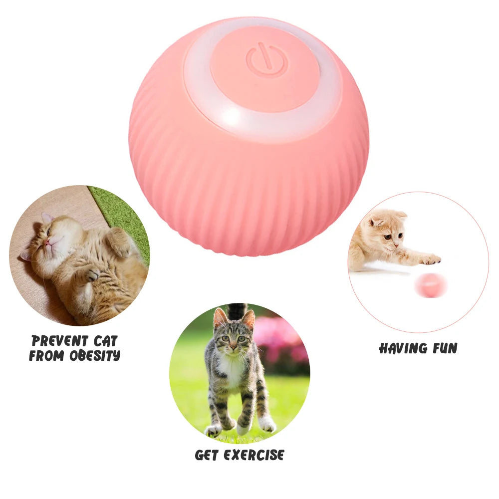 Smart Cat Rolling Ball Toys for Interactive Indoor Play - Smarsty