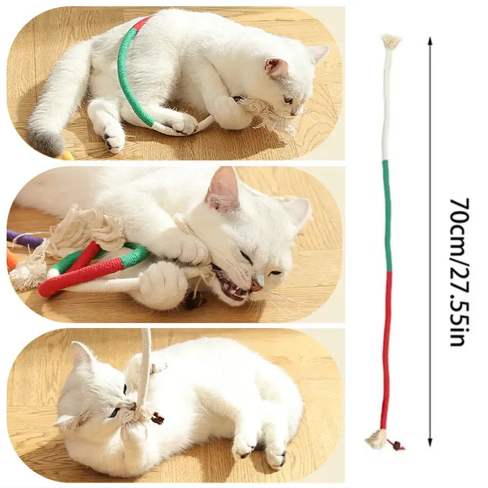 Interactive Cat Teaser Toy with Molar Rope Benefits - Smarsty