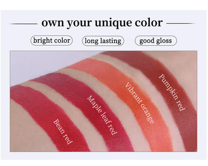Long Lasting Matte Lipstick Set Waterproof Lip Gloss - Smarsty