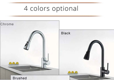Rozin Chrome Kitchen Faucet with Pull Out Sprayer - Smarsty