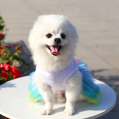 Spring Dog Lace Dress Pet Dog Clothes For Small Dog Party Birthday Wedding  Dress Puppy Costume  Pet Clothes - Smarsty